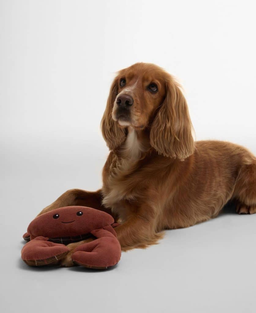 Jouet pour chien barbour crabe