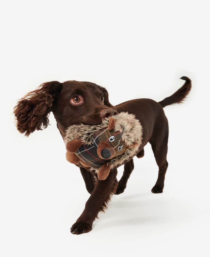 Jouet chien barbour hérisson hedgehog dog toy