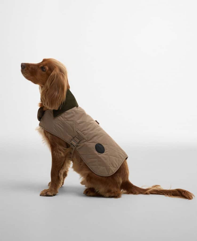 Manteau pour chien matelassé Barbour