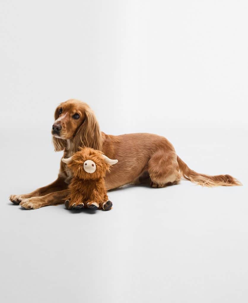 Jouet pour chien vache des highlands barbour