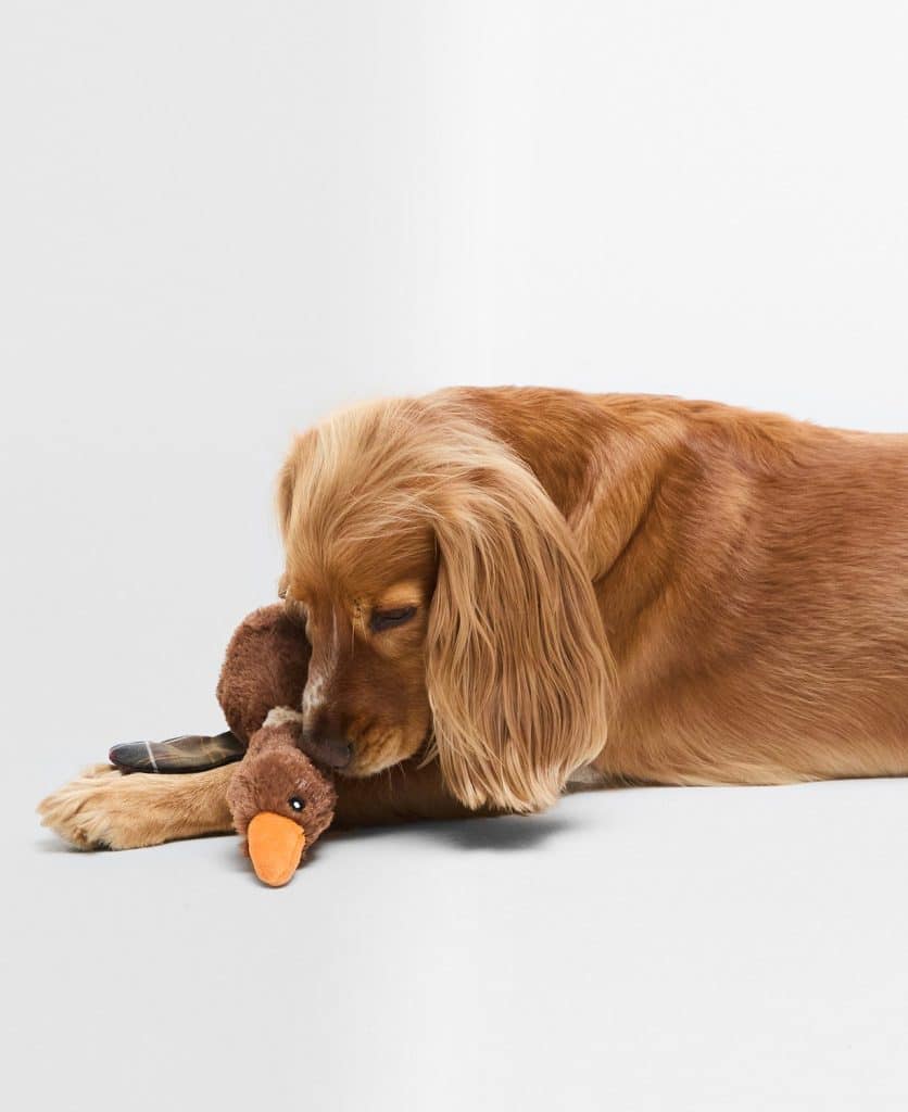 Jouet pour chien canard volant barbour