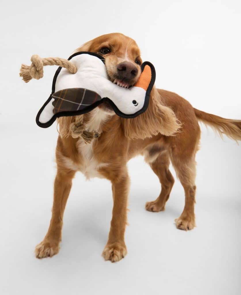 Jouet pour chien mouette Barbour
