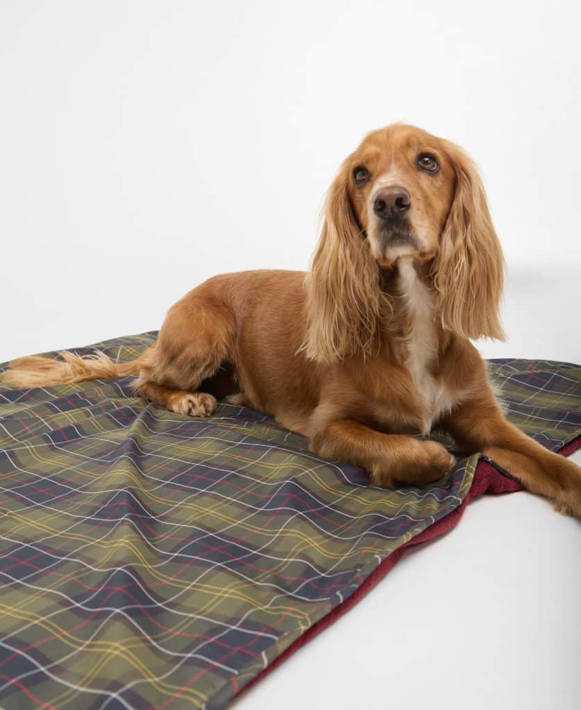 Couverture/serviette pour chien en tartan Barbour