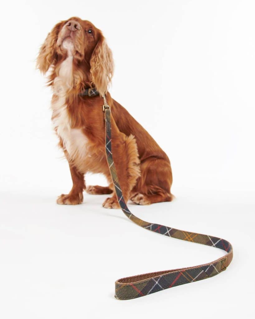 Laisse pour chien en tartan Webbing Barbour