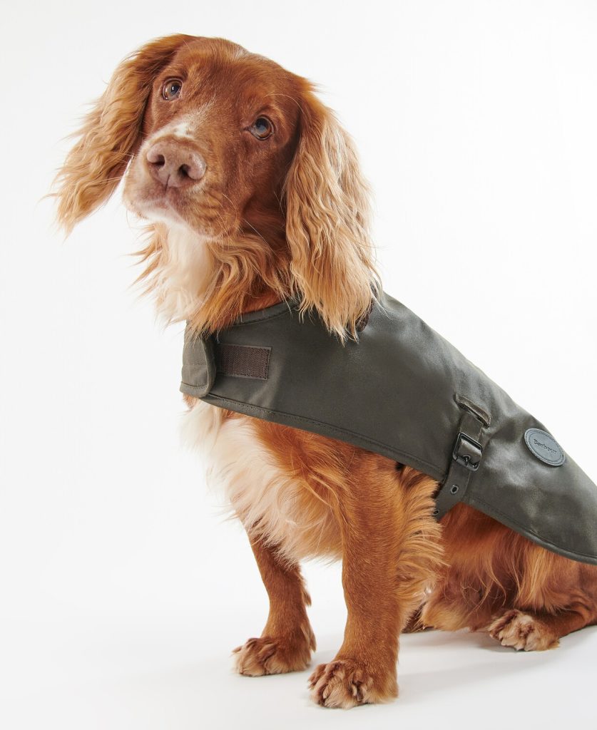 Manteau chien huilé Barbour vert olive