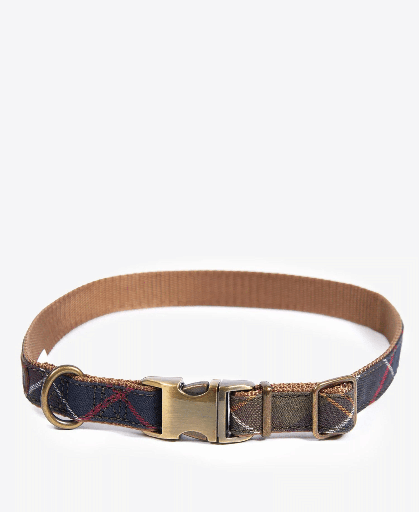 Collier en tartan Webbing Barbour